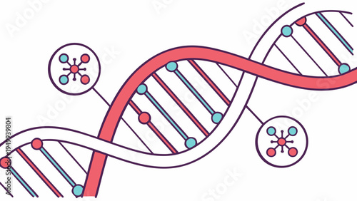 A colorful vector graphic illustration of a DNA double helix structure with molecular bonds