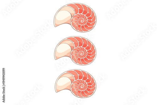 A vertical set of three stylized nautilus shell illustrations