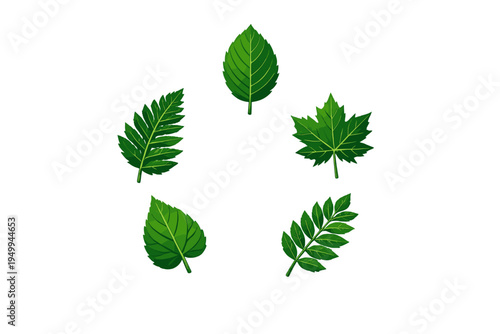 A collection of five diverse green leaves arranged in a circular