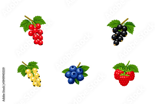 A collection of vector berry illustrations featuring red, black, and