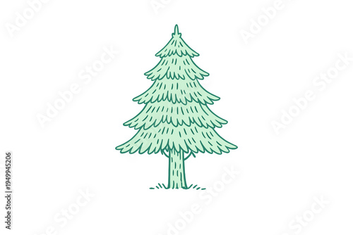 Stylized hand-drawn evergreen tree illustration with tiered branches