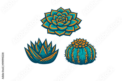 A set of three stylized succulent and cactus illustrations in a