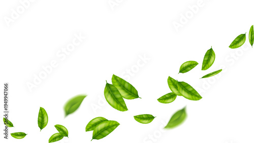 green leaf flying vector background