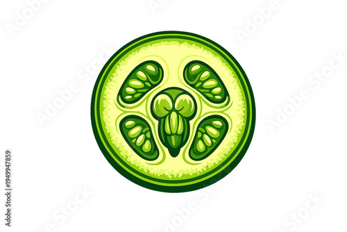 A stylized vector illustration of a cucumber slice isolated on a