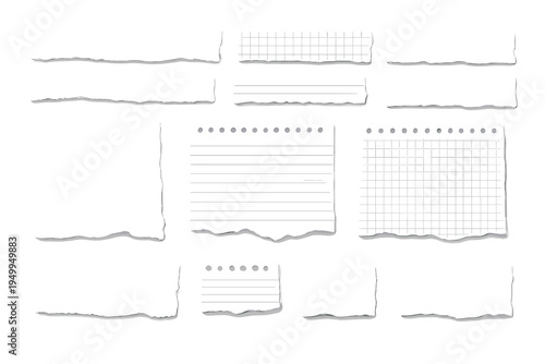 Set of white torn paper pieces with various textures like lined