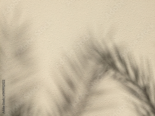 Tropical palm leaf shadow on beige wall background aesthetic minimal silhouette of coconut tree branch on cream textured surface summer sunlight effect for mockup and interior design backdrop photogra