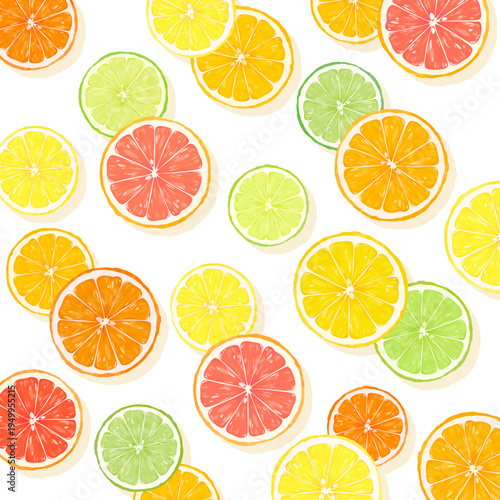 輪切りシトラスの透過背景_正方形