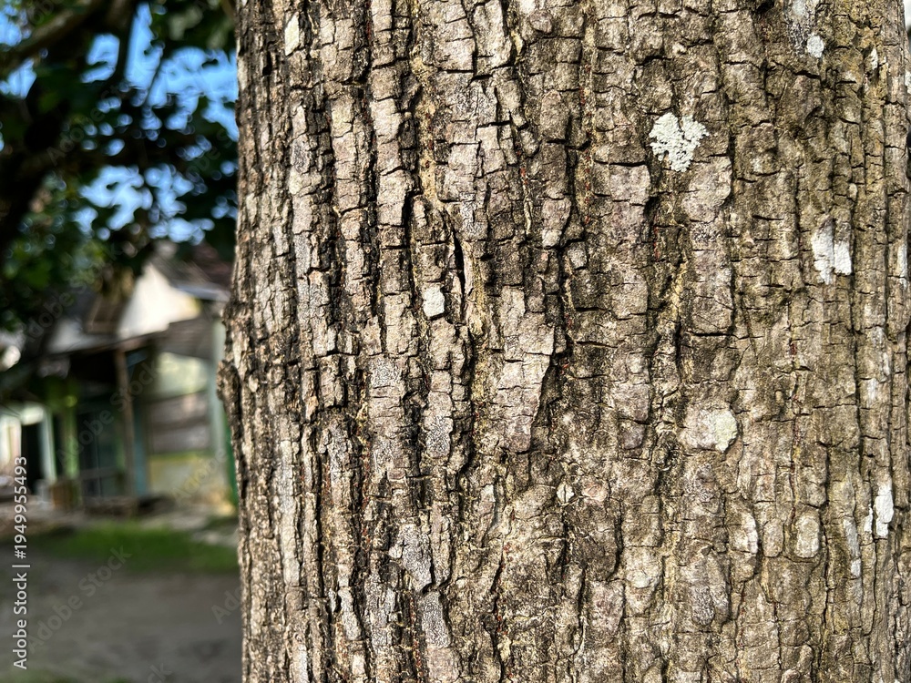 Fototapeta premium Detailed close-up of tree bark showing rough texture, vertical grooves and pale lichen patches. Neutral earthy tones create a rustic, natural background useful for nature, ecology and design projects.