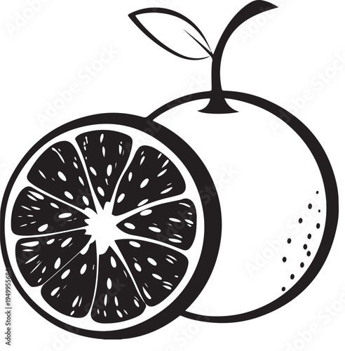 Orange fruit vector illustration with half slice citrus isolated on transparent background