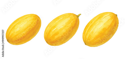 Adobe Illustrator Artwork