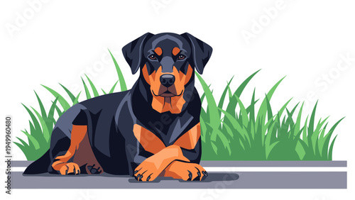 Rottweiler Dog Lying Down on Pavement with Grass in Background, Vector Illustration Style, Pet Portrait for Animal Lovers and Lifestyle Content