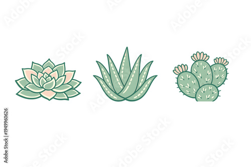 A set of three stylized succulent and cactus icons featuring a