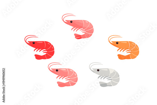 Vector illustration of five colorful shrimp icons arranged in a