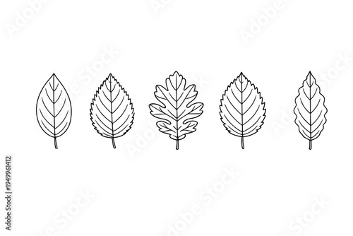 This vector illustration features five unique leaf designs in a