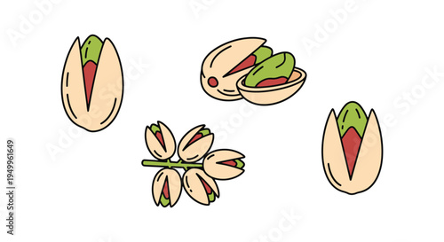 Organic Pistachios Line art soft vibrant abstract tone illustration