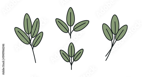 Organic Sage Line art vector dynamic fluid abstract color illustration