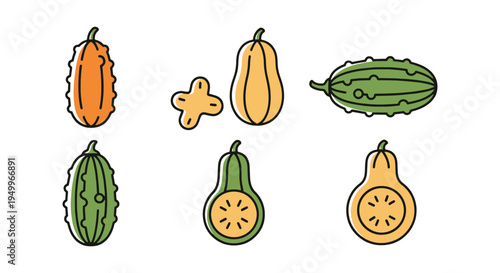 Ridge Gourd Line art vector creative color harmony abstract illustration