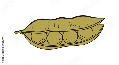 Organic Soybeans Line art dynamic vibrant abstract color vector