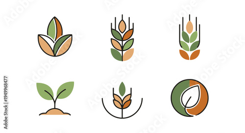 Organic Spelt Line art vector elegant abstract tone illustration