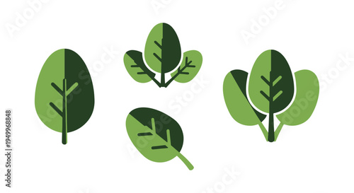 Organic Spinach Line art minimal clean abstract illustration