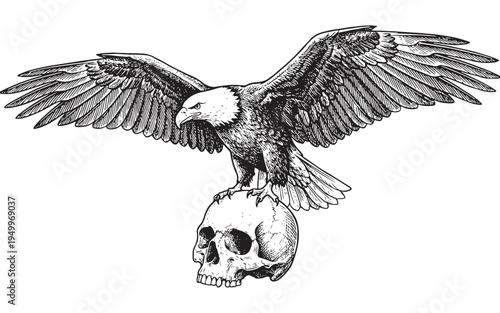 bald eagle perched on a human skull vintage sketch illustration