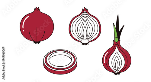 Red Onion Line art vector set soft pastel abstract color