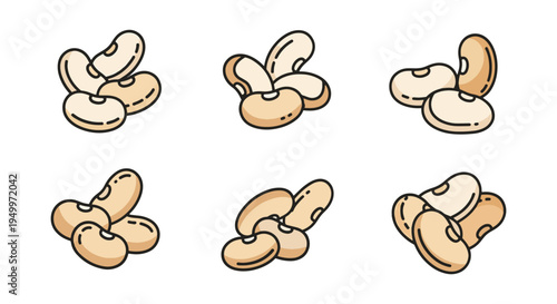 Organic White Beans Line art creative contemporary abstract color illustration
