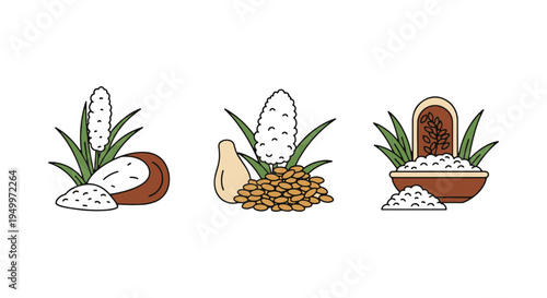 Organic Wild Rice Line art digital abstract colorful vector