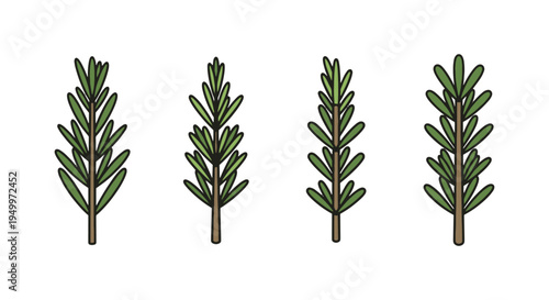 Rosemary Line art vector set soft pastel abstract color