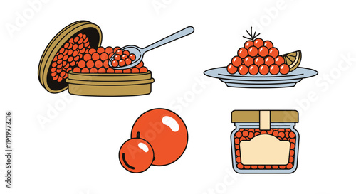 Osetra Caviar Line art vector modern smooth abstract color