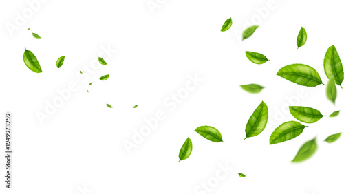 green leaf flying vector background