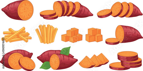 Sweet potato cuts and cooking styles set. Sliced yam, fries, cubes, and chips. Organic root vegetable collection for food preparation, cooking ingredients, and healthy meal design.