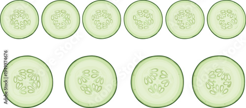Cucumber slice collection. Fresh green cucumber round cuts arranged in set. Healthy vegetable ingredient illustration for salad food, organic cooking, and farm produce design.