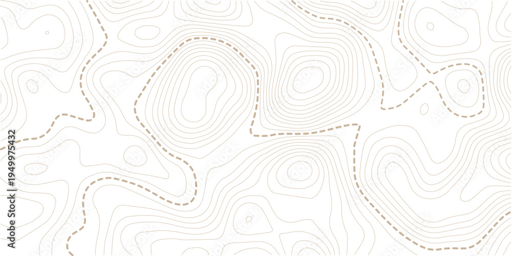 Fototapeta premium topography white background and black line wireframe isoline location diagram world map texture design. Vector Illustration.
