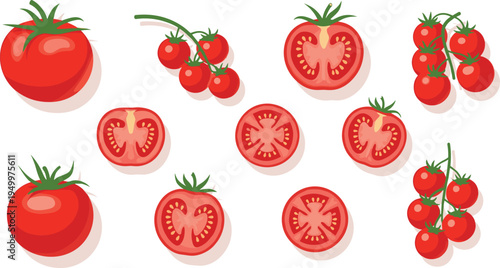Tomato whole and sliced collection. Fresh red tomatoes, cherry tomato clusters and cross sections. Organic garden vegetable illustration for salad ingredients, cooking food, and farm harvest.