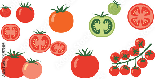 Tomato varieties and slices set. Whole tomatoes, cherry tomato branch and colorful cut sections. Fresh organic vegetable illustration for salad ingredients, cooking food, and farm harvest.