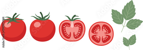 Tomato whole and sliced set with leaves. Fresh red tomatoes and cross sections. Organic garden vegetable illustration for cooking ingredients, salad food, and farm harvest design.