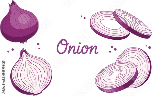Onion vegetable illustration set. Whole onion, half onion and round slices. Purple kitchen ingredient collection for cooking recipes, organic food design, and farm harvest themes.