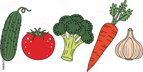 Fresh vegetable icons set. Cucumber, tomato, broccoli, carrot and garlic. Organic farm vegetables illustration for healthy food, cooking ingredients, and grocery market design.