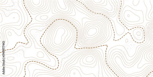 topography white background and black line wireframe isoline location diagram world map texture design. Vector Illustration.