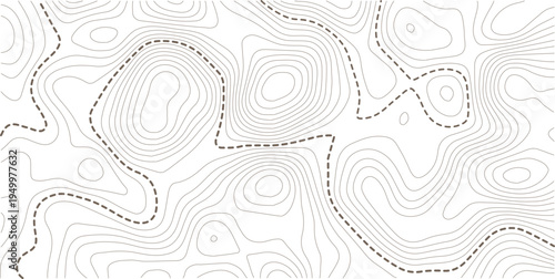 topography white background and black line wireframe isoline location diagram world map texture design. Vector Illustration.