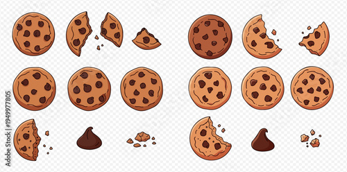 Set of delicious chocolate chip cookies, whole, broken, and crumbs, with chocolate chips.
