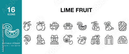 Lime Fruit icon set. Includes lime, citrus, fruit, green, fresh, sour, juicy and More. Editable Stroke Icon Collection.