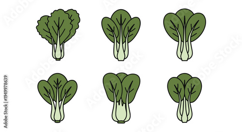 Pak Choi Line art vector set clean dynamic abstract