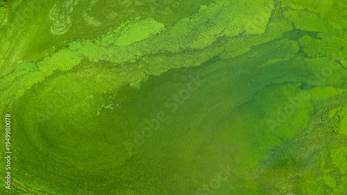 An abstract aerial shot displays swirling patterns of lime and emerald green. The organic, fluid textures resemble algae blooms or mossy wetlands, creating a mesmerizing natural landscape.