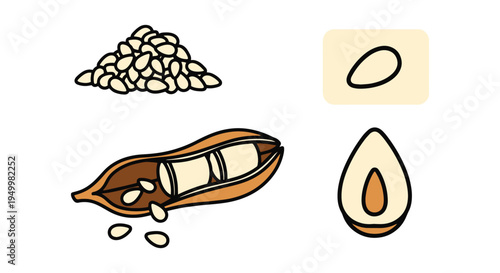 Sesame Seeds White Line art dynamic creative abstract illustration