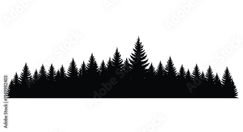 Dense forest of evergreen trees presented as a dark silhouette