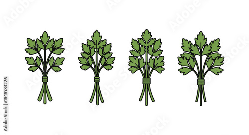 Parsley Line art vector set digital abstract colorful