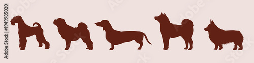 Silhouettes of various dog breeds vector set
