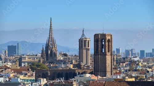 Photography Barcelona Cathedral skyline over Gothic Quarter with panoramic city rooftops